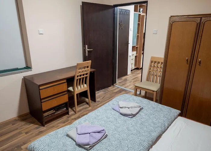 Aleksandar * 쿠르셰바츠