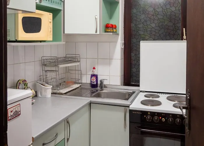 Aleksandar 아파트