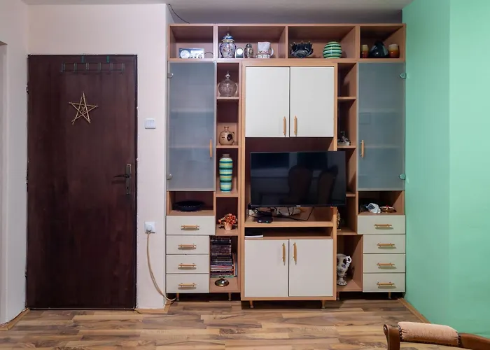 Aleksandar 아파트 *