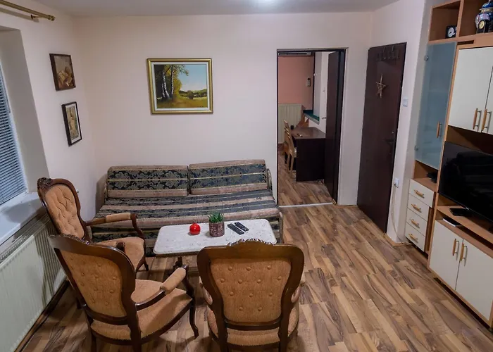 Aleksandar 쿠르셰바츠