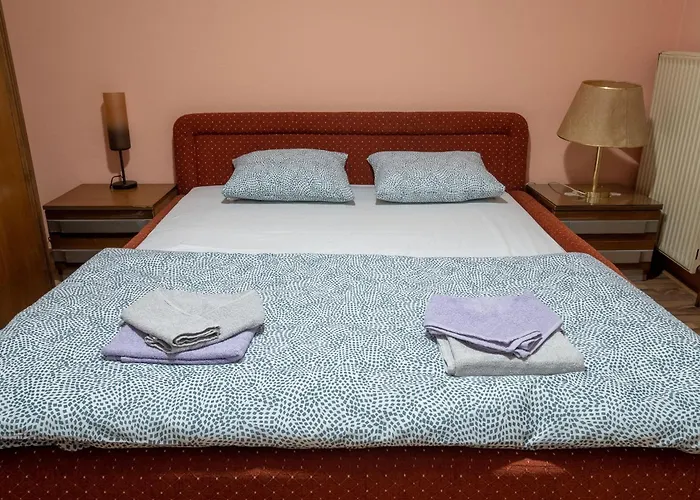 Aleksandar 아파트 *